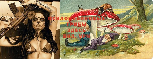 крисы Алексеевка
