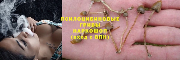 МДПВ Абинск