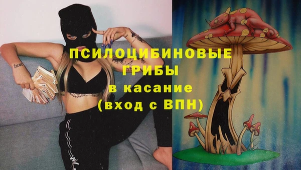 дживик Алексин