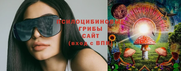 дживик Алексин