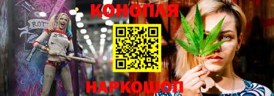 стаф Донецк