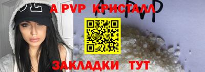 стаф Донецк