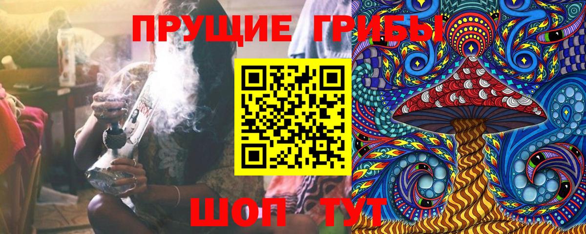 Галлюциногенные грибы MAGIC MUSHROOMS  наркошоп  Вход с VPN  Красноармейск  Галлюциногенные грибы прущие грибы 